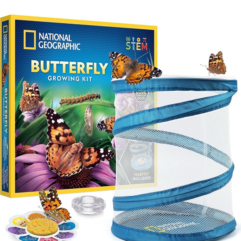 National Geographic Butterfly Learning Set - Blue